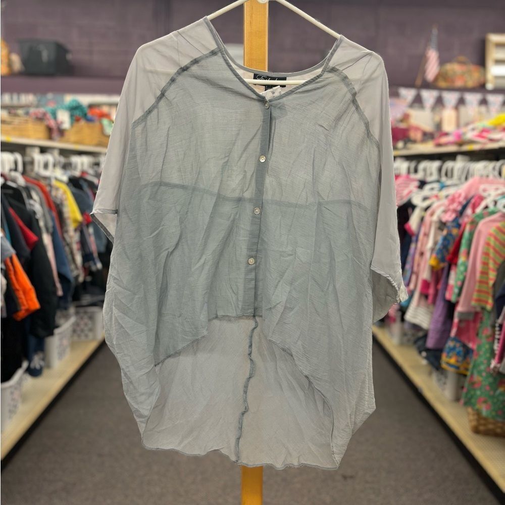 Ethyl Sheer Gray Blouse sz M